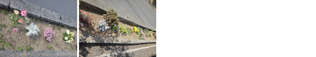 2025年3月　美化活動